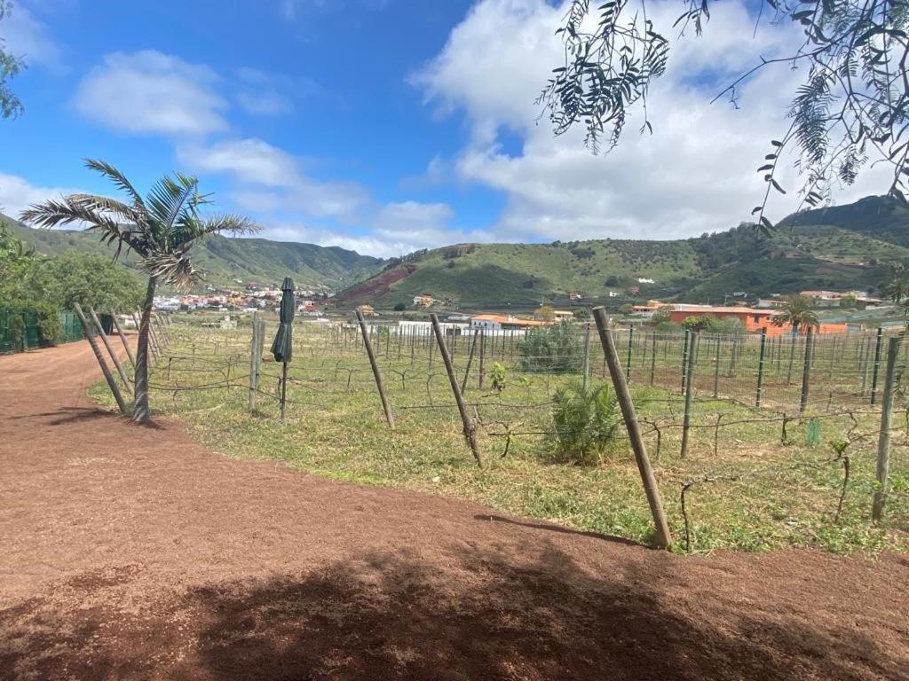 Hébergement de vacances Casita Entre Vinedos, Experiencia Rural, Ideal Ninos. Tegueste