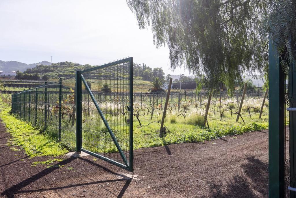 Hébergement de vacances Casita Entre Vinedos, Experiencia Rural, Ideal Ninos. Tegueste
