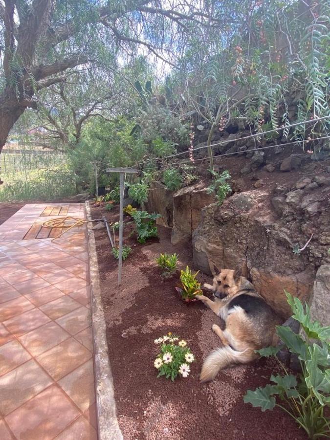 Casita Entre Vinedos, Experiencia Rural, Ideal Ninos. Casa de vacances Tegueste